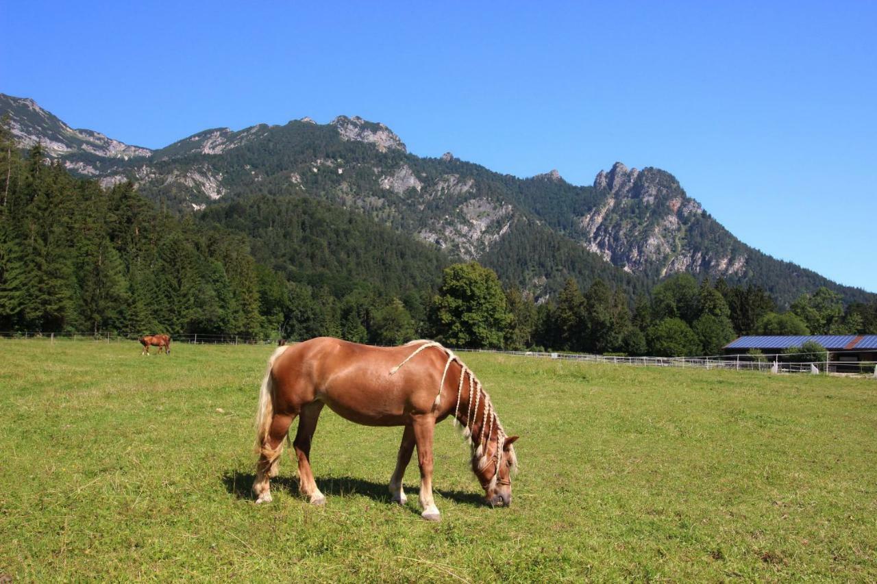 Ferienhaus Gestüt Pfaffenlehen